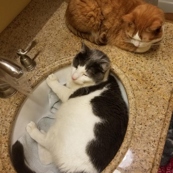 Meet your Posher, Andrew - Picture 1 of 1